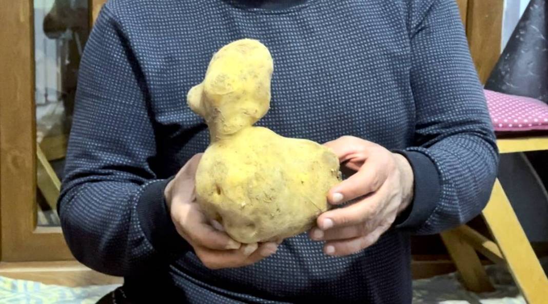 Patates diye aldı, içinden 'ördek' çıktı! Eve gelince fark etti, sonra bu sözü verdi 9